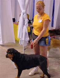 Sheila and new foster mom Kara